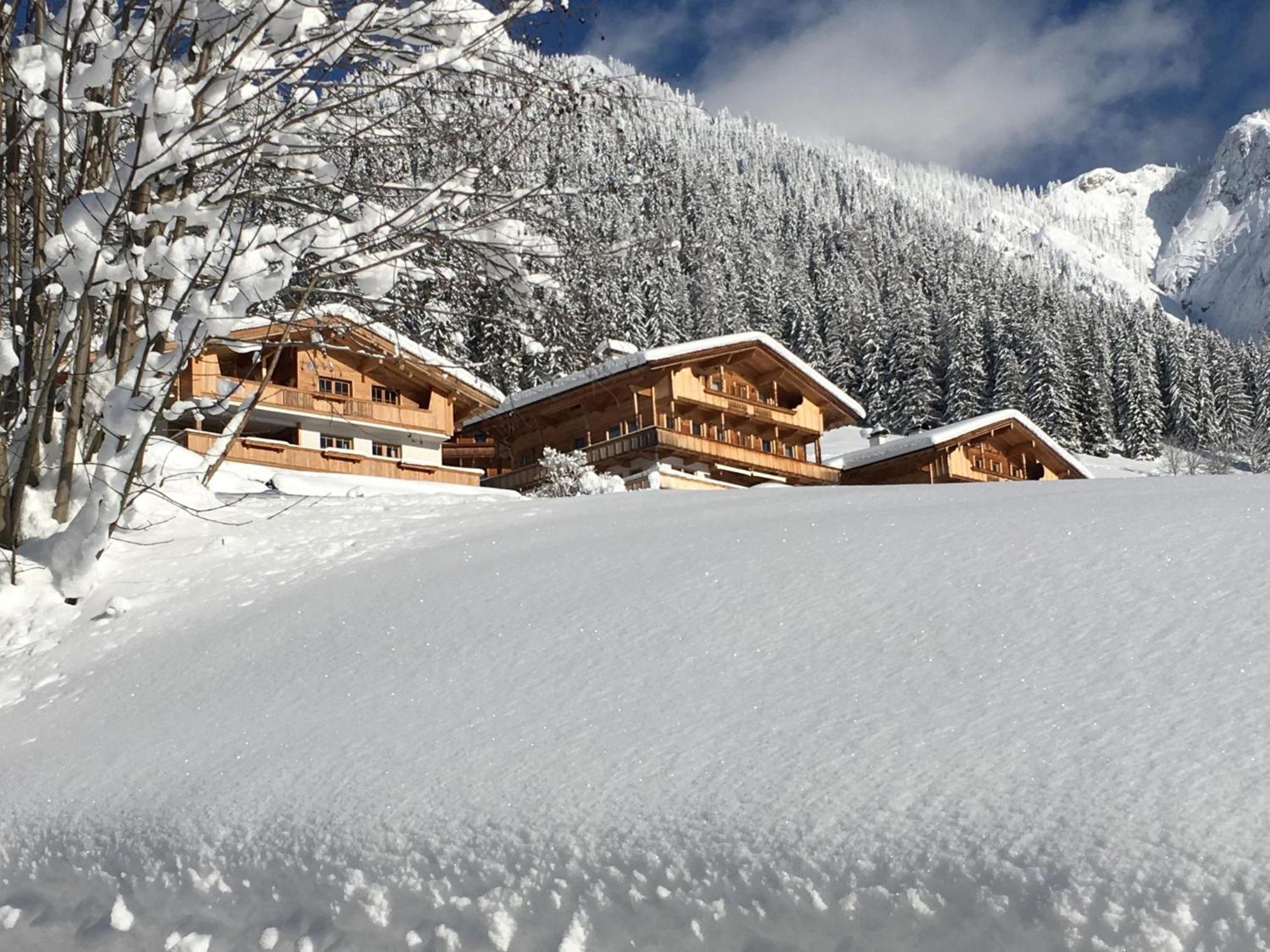 Haus Fernwald Top Jill 알프바취 외부 사진