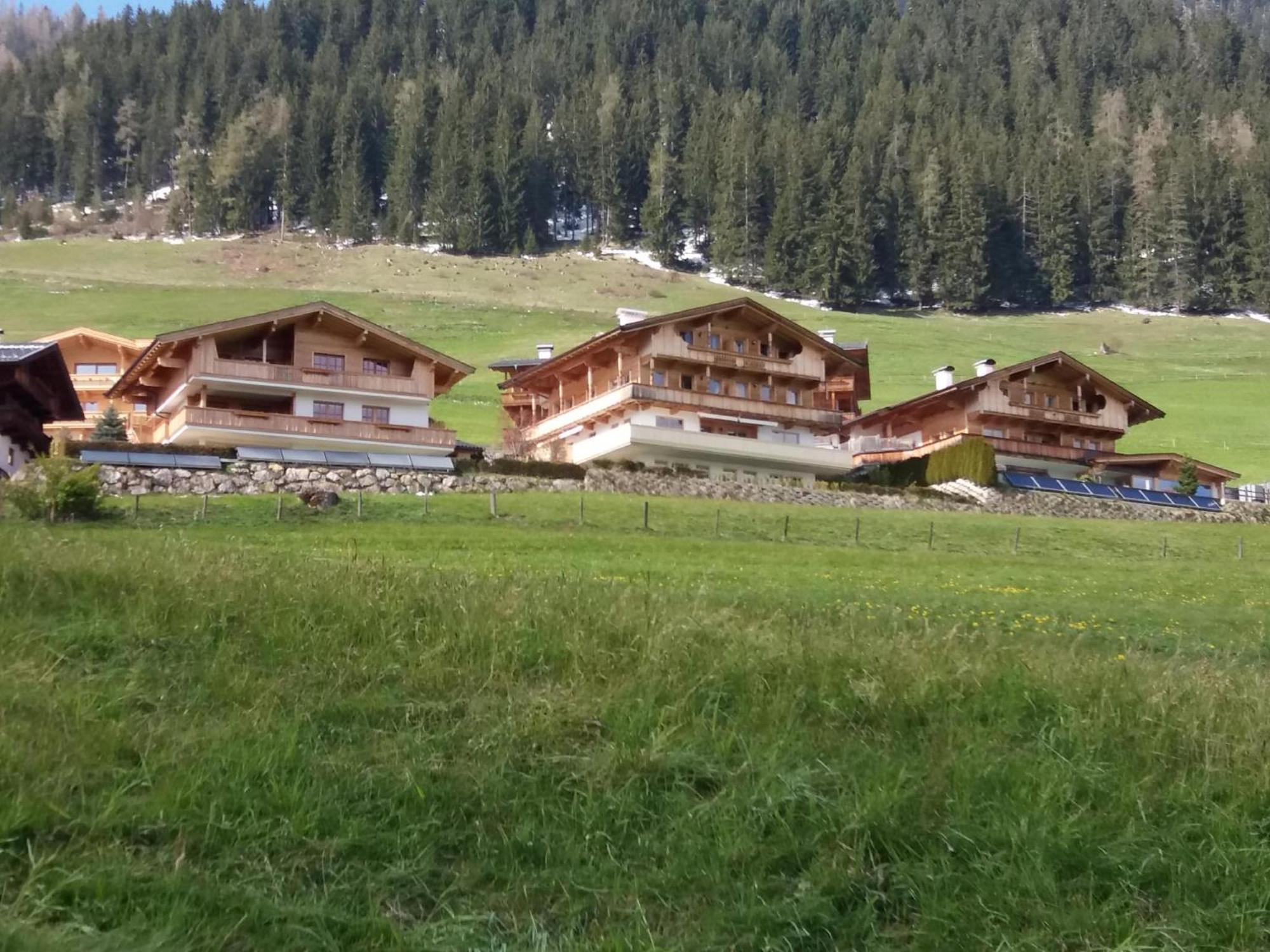 Haus Fernwald Top Jill 알프바취 외부 사진