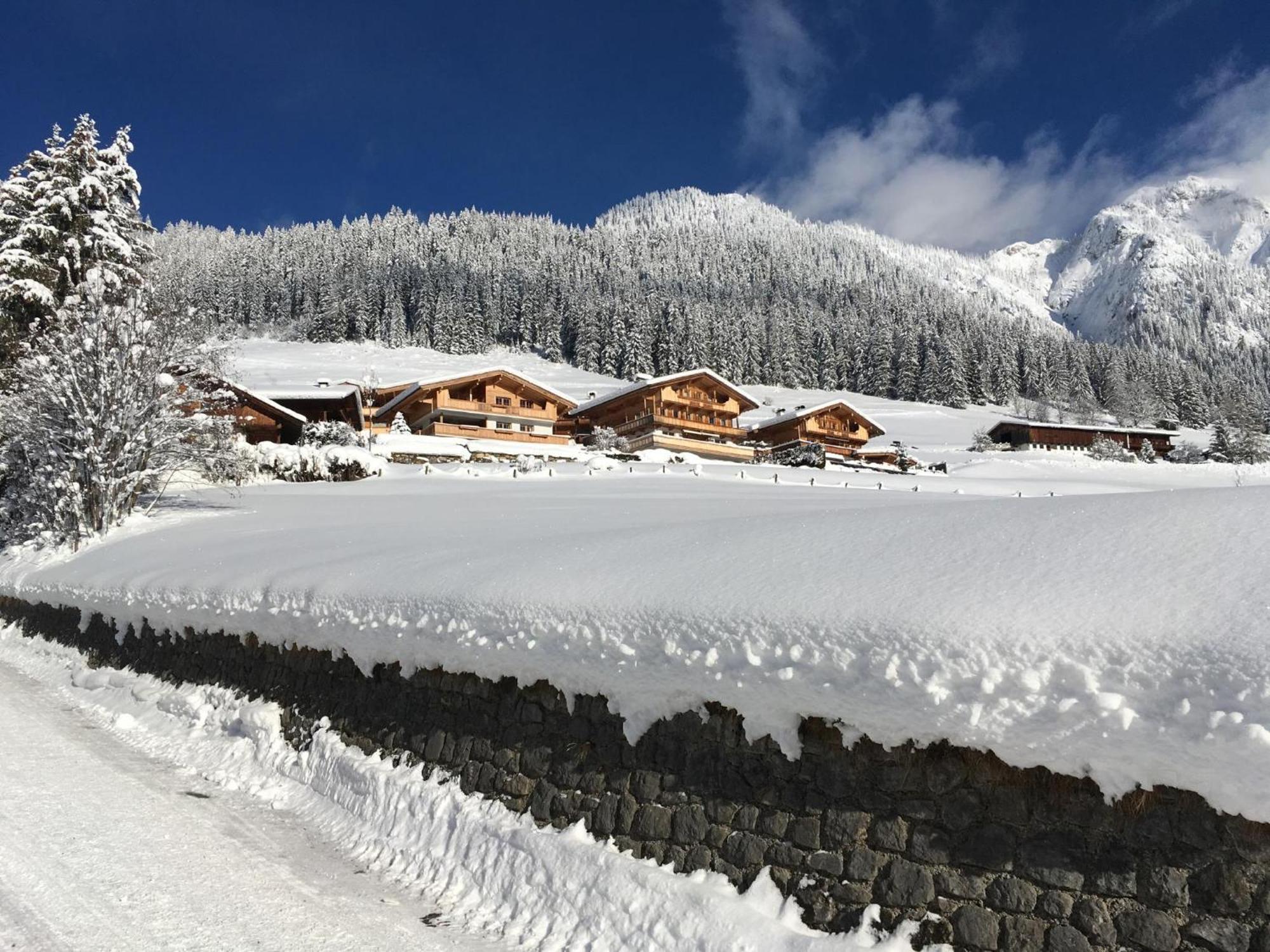 Haus Fernwald Top Jill 알프바취 외부 사진